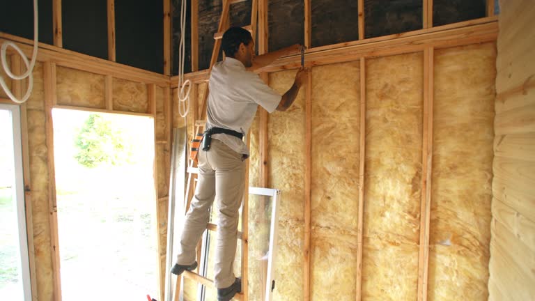 Best Attic Insulation Installation  in Alamosa East, CO