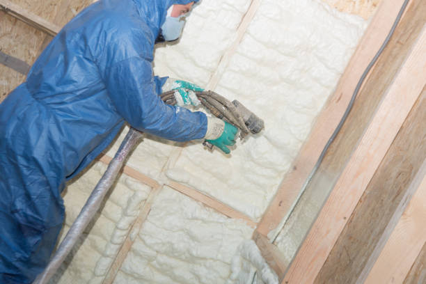 Best Insulation for New Construction  in Alamosa East, CO